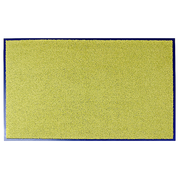 Fuß- und Sauberlaufmatte Wash & Clean - Grün - Maße: 40 x 60 cm