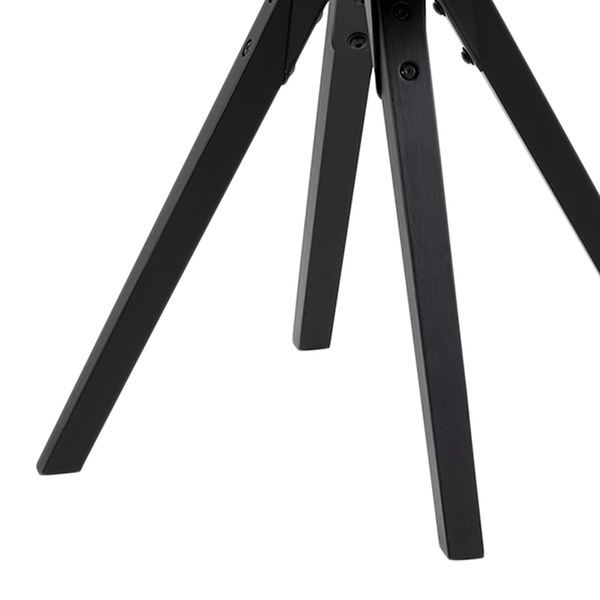 Esszimmerstuhl ALEDAS - Schwarz - Schwarz - 2er Set
