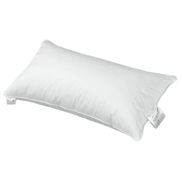 Kopfkissen Canada - 40 x 80 cm - 70% Gänsefedern, 30% Daunen
