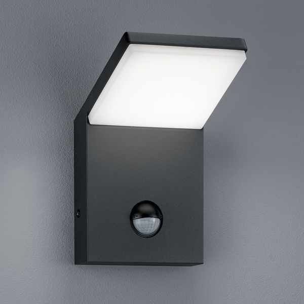 LED-Außenleuchte Pearl I - Aluminium / Kunststoff - Anthrazit - 1-flammig