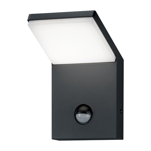 LED-Außenleuchte Pearl I - Aluminium / Kunststoff - Anthrazit - 1-flammig