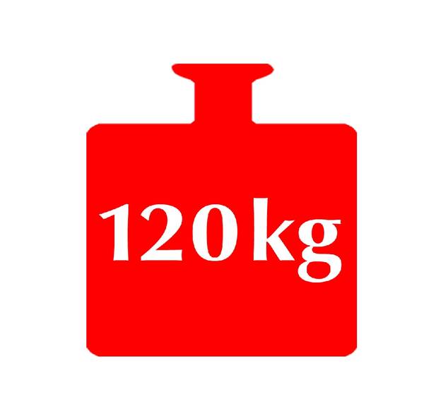 Einstiegshilfe - für Badewanne